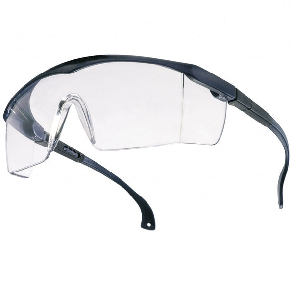 Basic Schutzbrille Tector